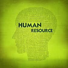 Human Resource management Software in hyderabad,  free payroll management system software free download in gachibowli, hyderabad